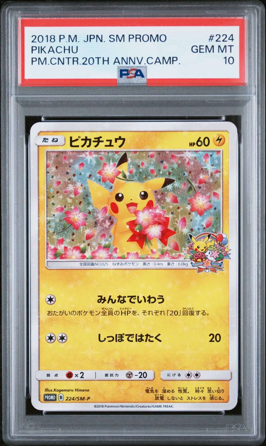 PIKACHU POKEMON CENTER 20TH ANNIVERSARY CAMPAIGN (2018)
