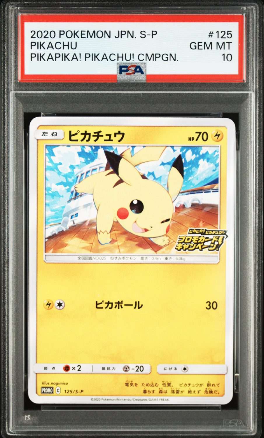 PIKACHU PIKAPIKA! PIKACHU! (2020)
