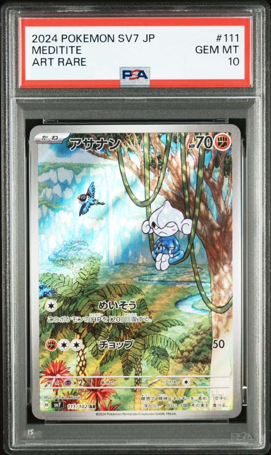 MIRACLE MEDITITE (2024)