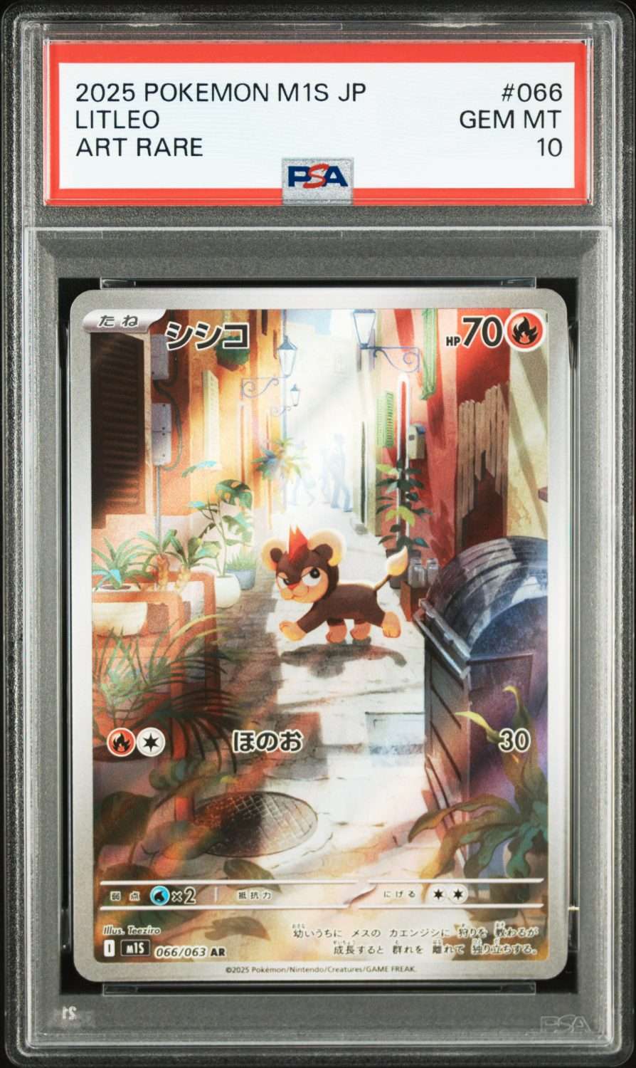 LITLEO (2025)