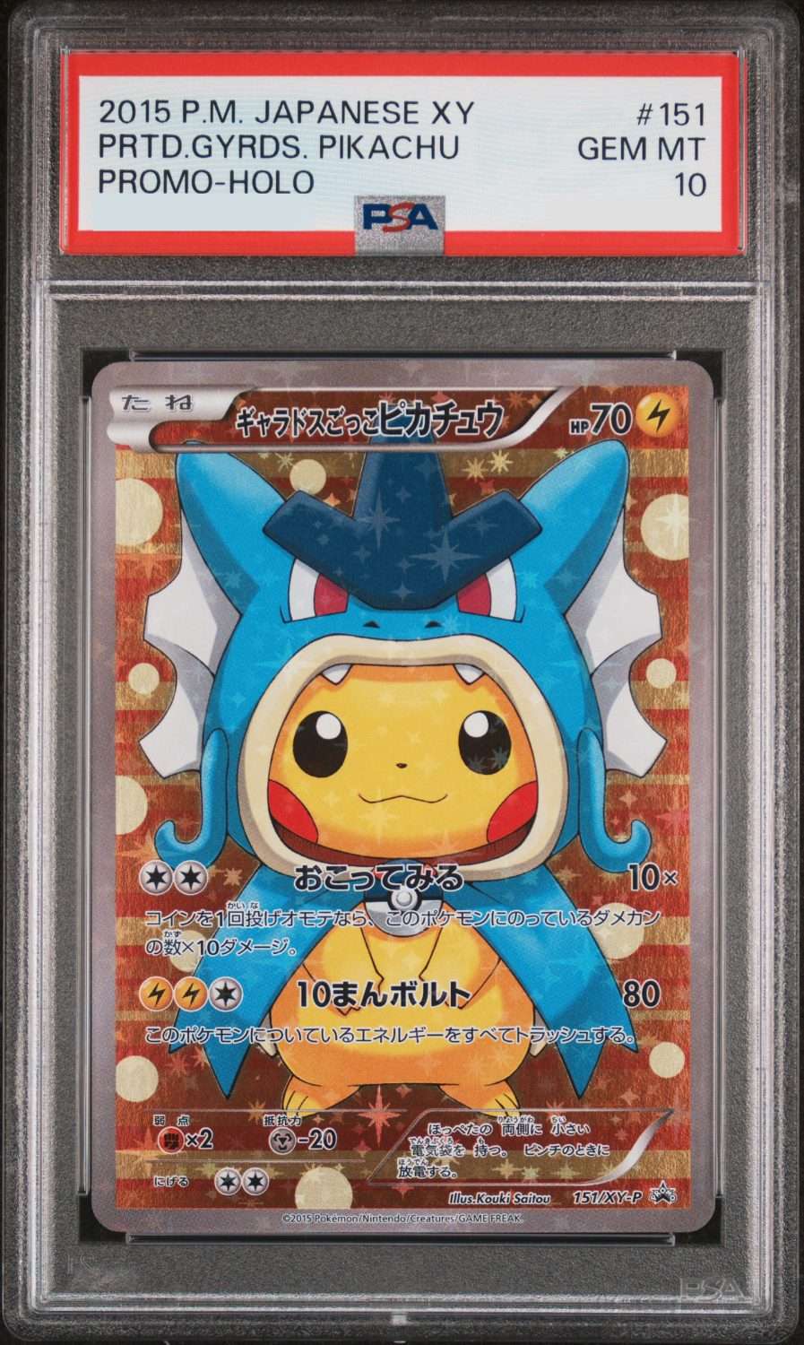 PRETEND GYARADOS PIKACHU (2015)