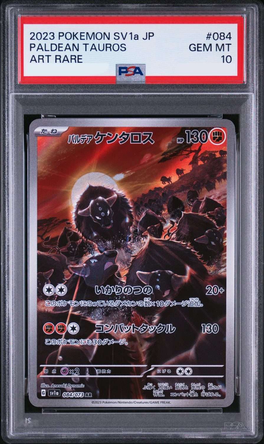 PALDEAN TAUROS