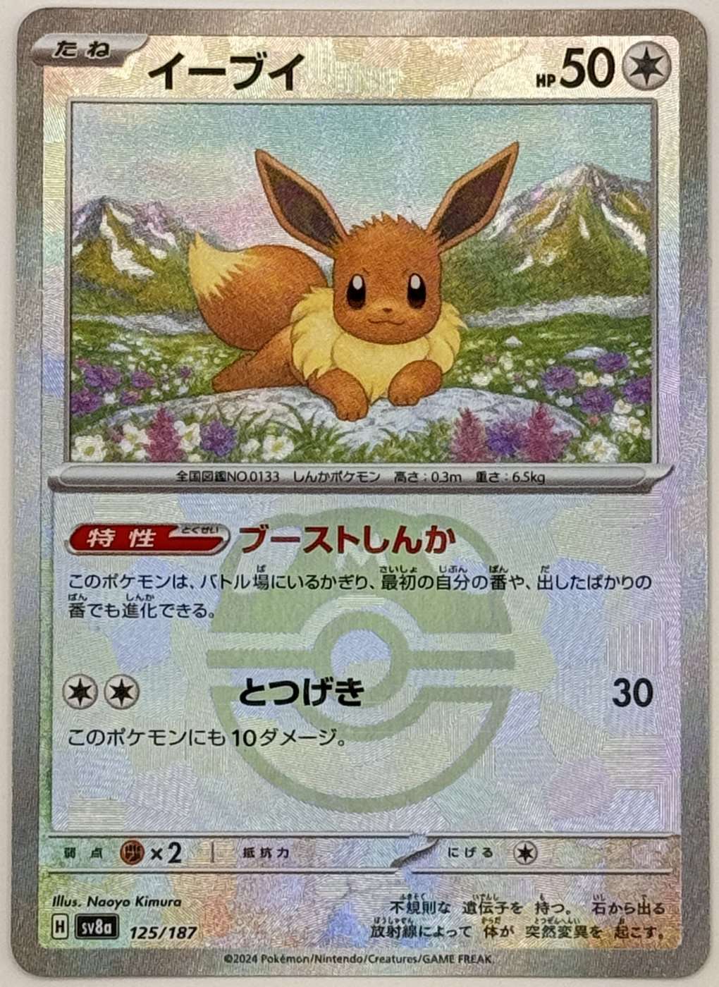 Eevee : Master Ball Mirror