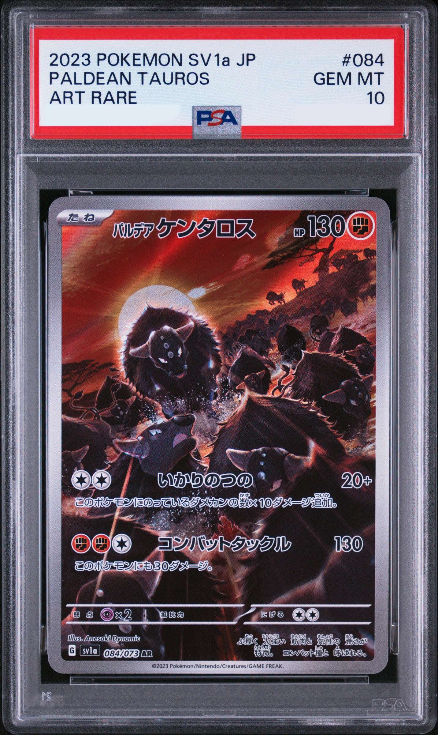 PALDEAN TAUROS