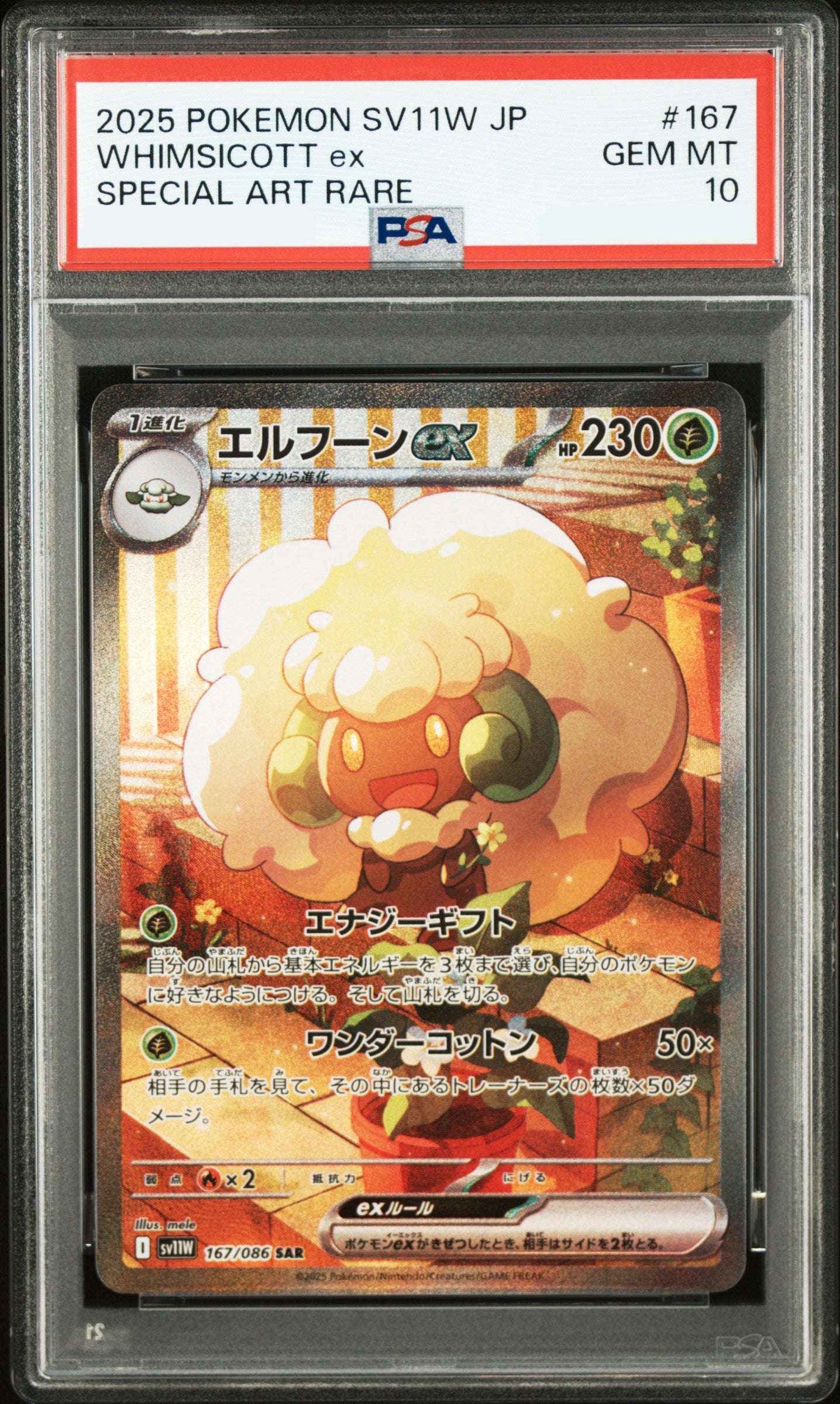 WHIMSICOTT EX